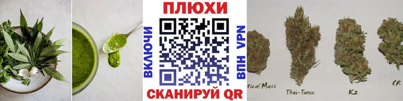 Cannafood конопля  blacksprut вход  Гороховец 
