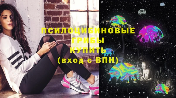 бошки Богородск