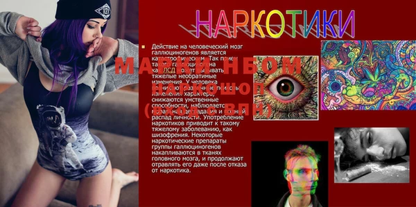 mdma Белокуриха