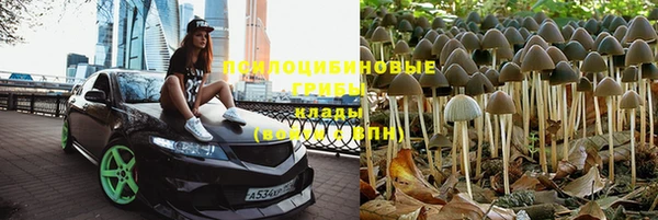 каннабис Богородицк