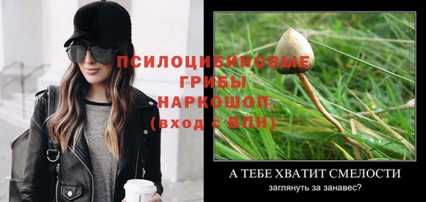 амф Богданович